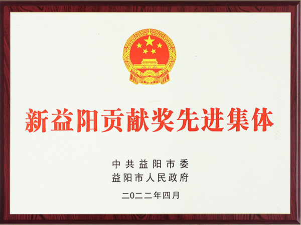 新益陽貢獻(xiàn)獎先進(jìn)集體2022年